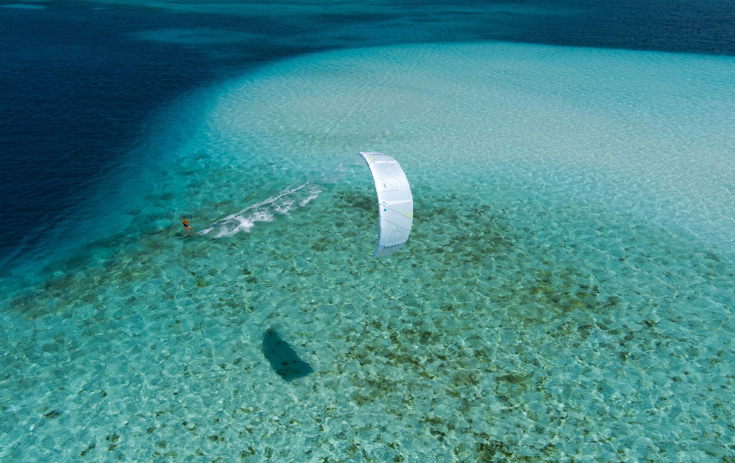 Select Concept Blue 2025